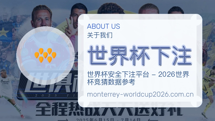 世界杯下注 团队与指南配图